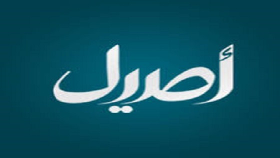 Asil TV